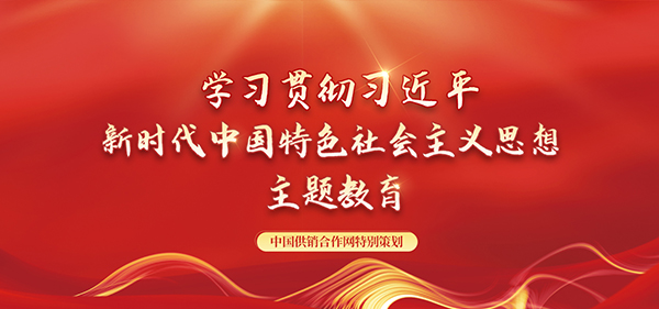 學習貫徹習近平新時代中國特色社會主義思想主題教育