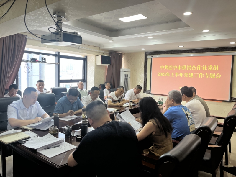 市供銷社召開2025年上半年黨建工作專題會